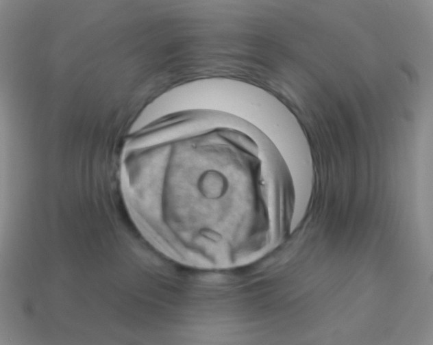X0000113900237200910221445