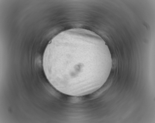 X0000113900238200910221445