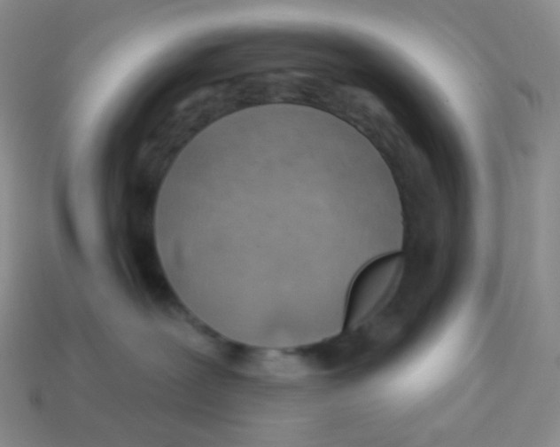 X0000113900239200910221445