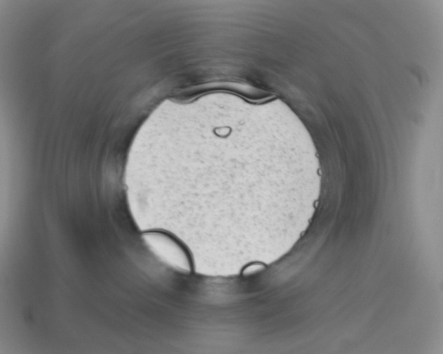 X0000113900240200910221445