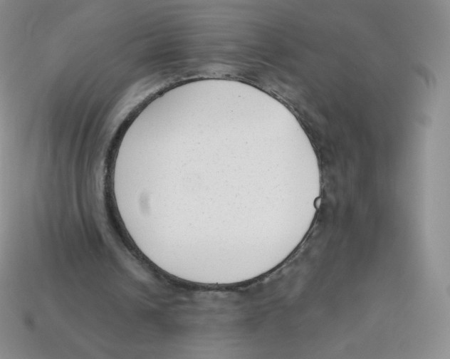 X0000113900242200910221444