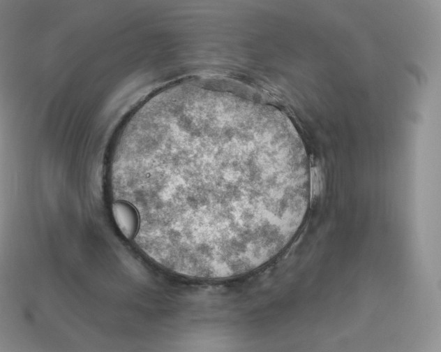 X0000113900243200910221444
