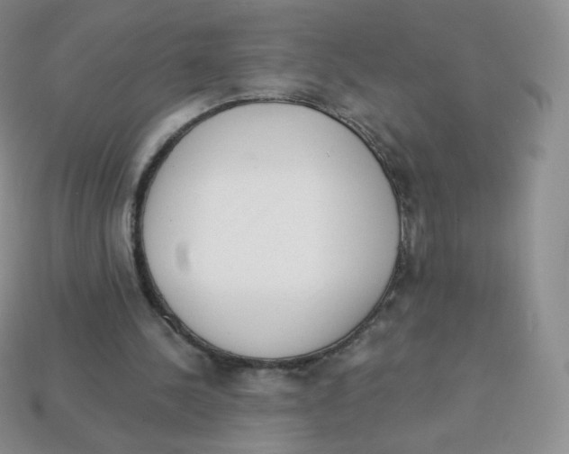 X0000113900244200910221444