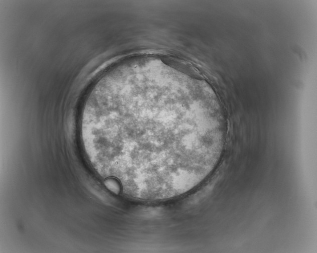 X0000113900247200910221444