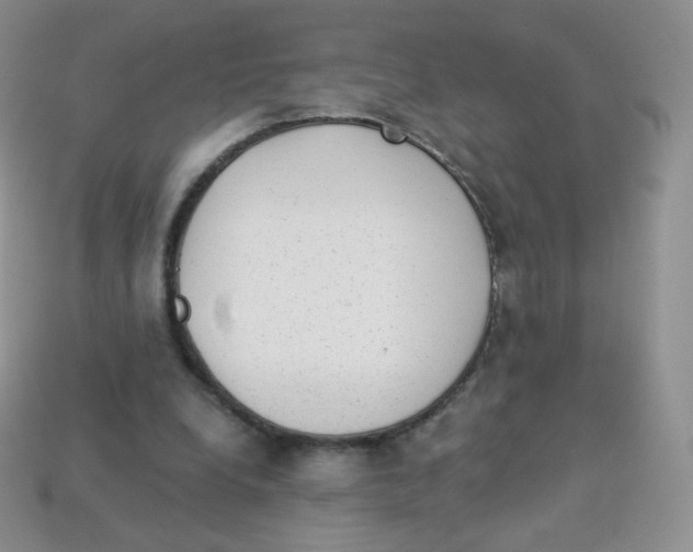 X0000113900248200910221444