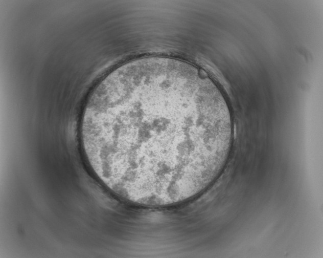 X0000113900249200910221444