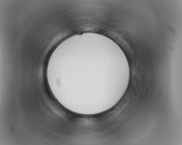 X0000113900250200910221444