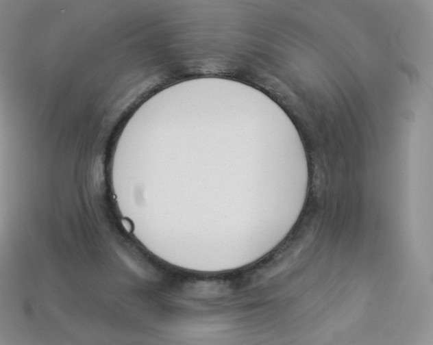 X0000113900251200910221444