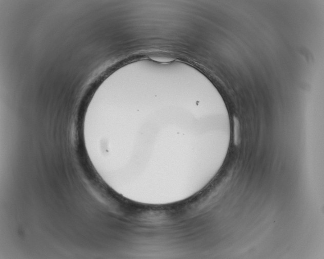 X0000113900252200910221444