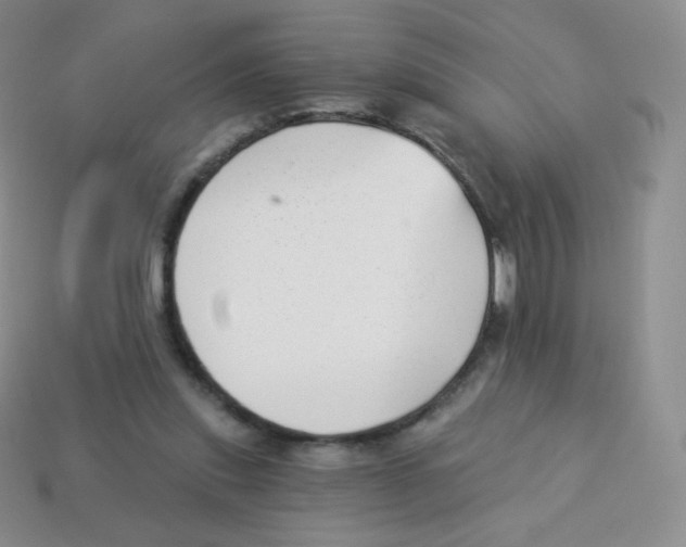 X0000113900253200910221444