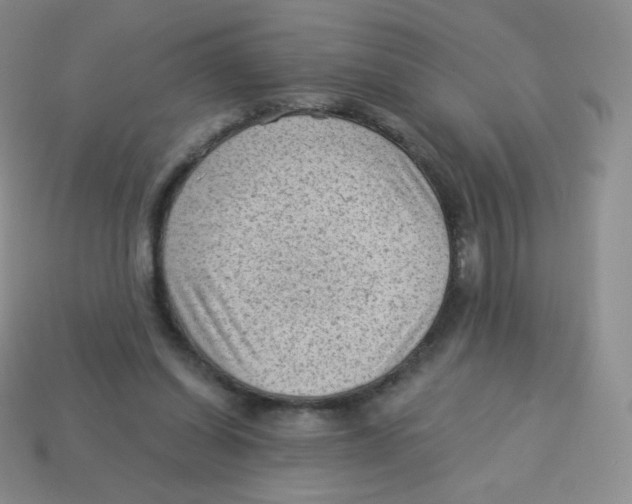 X0000113900254200910221444