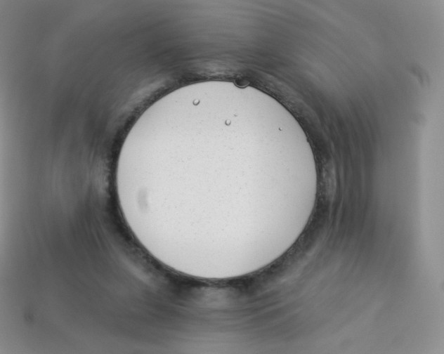 X0000113900255200910221444