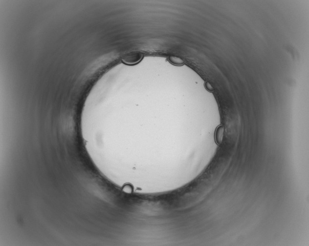 X0000113900256200910221444