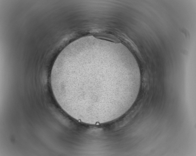 X0000113900257200910221444