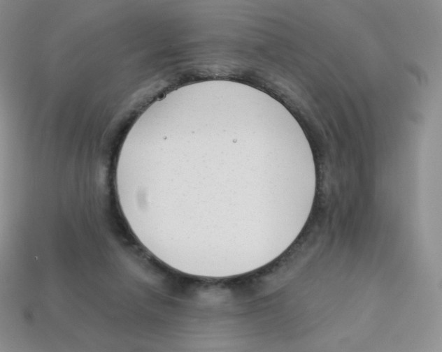 X0000113900258200910221444