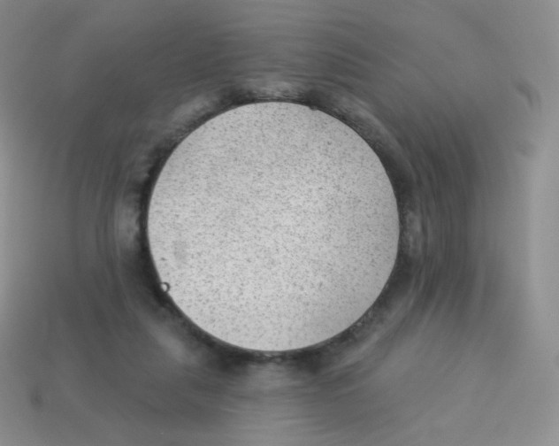 X0000113900259200910221444
