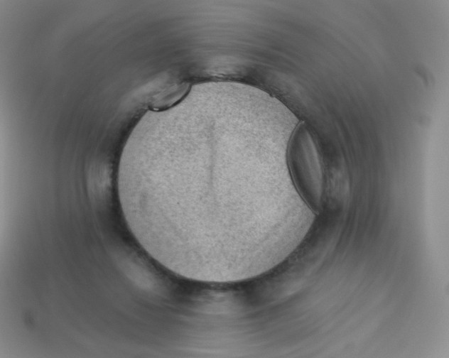 X0000113900260200910221444