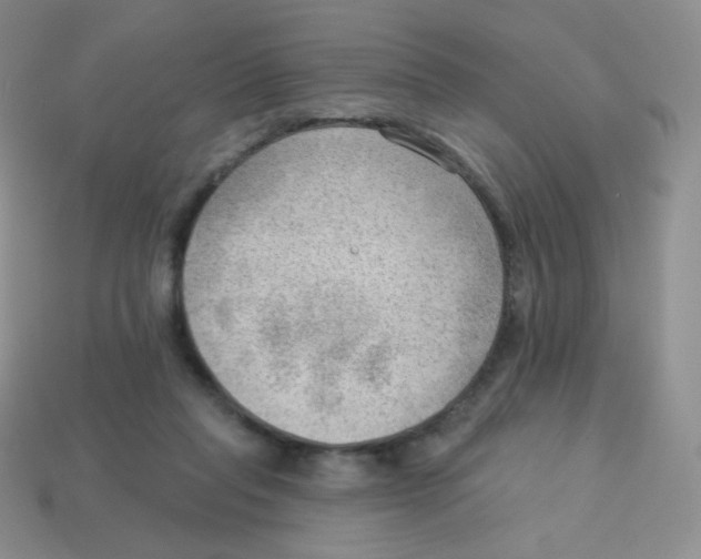 X0000113900261200910221444