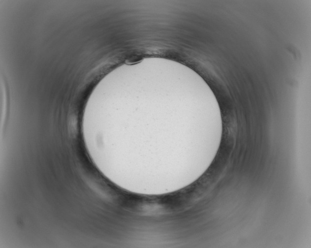 X0000113900262200910221444