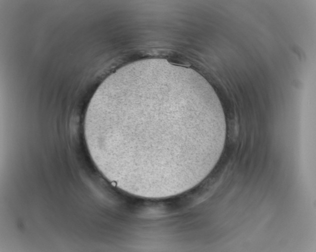 X0000113900263200910221444