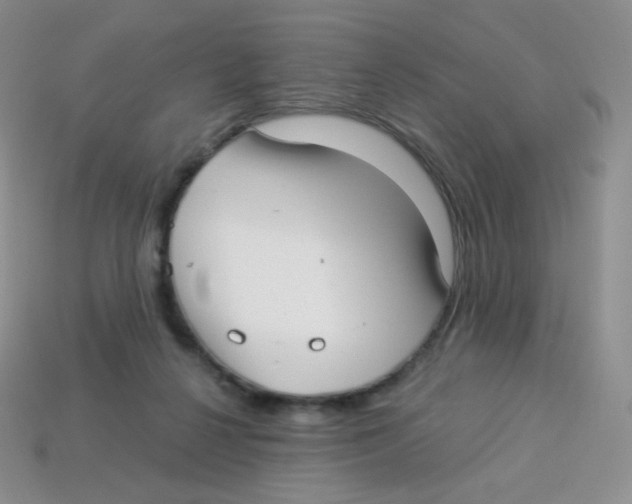 X0000113900264200910221444