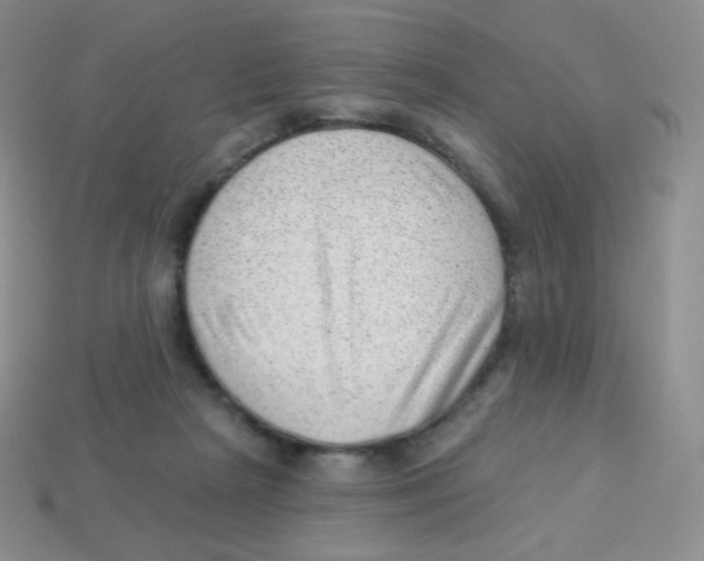X0000113900265200910221444