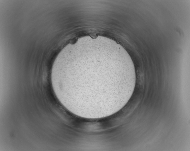X0000113900266200910221444