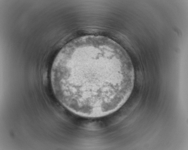 X0000113900267200910221444