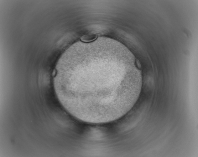 X0000113900268200910221444
