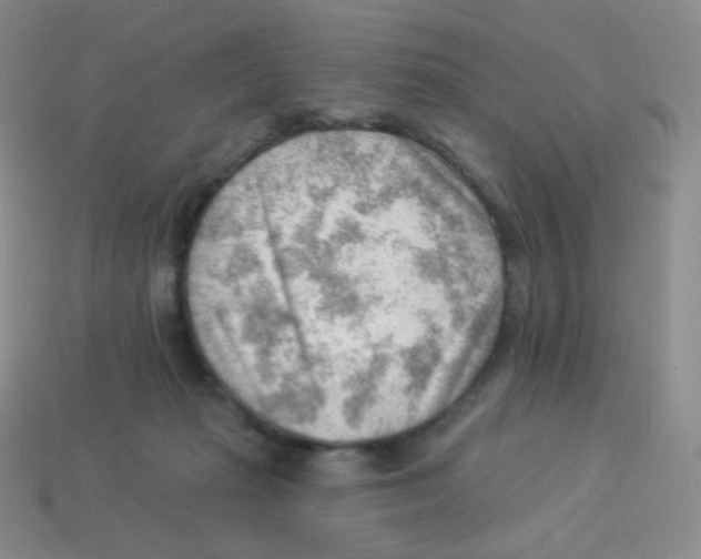 X0000113900269200910221444