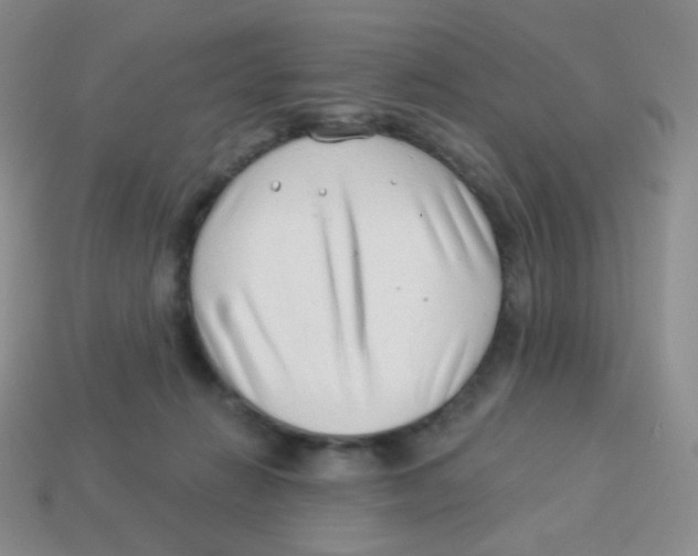 X0000113900270200910221444
