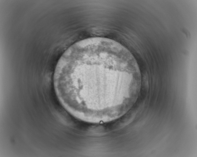 X0000113900271200910221444