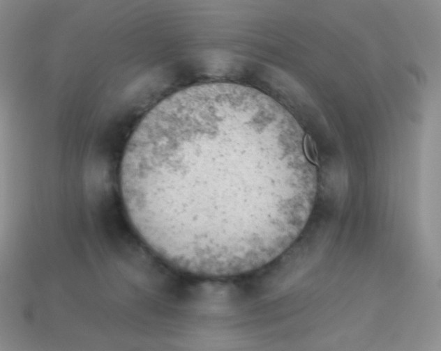 X0000113900272200910221444