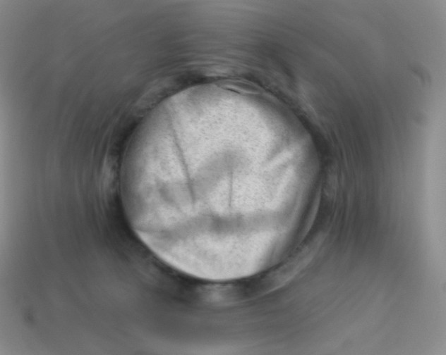 X0000113900273200910221444