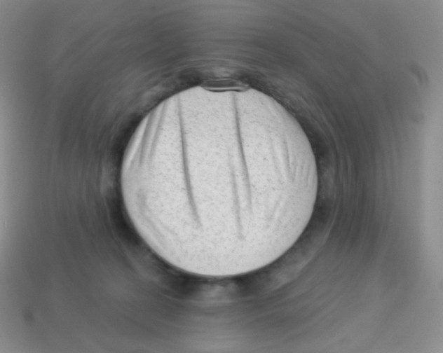 X0000113900274200910221444