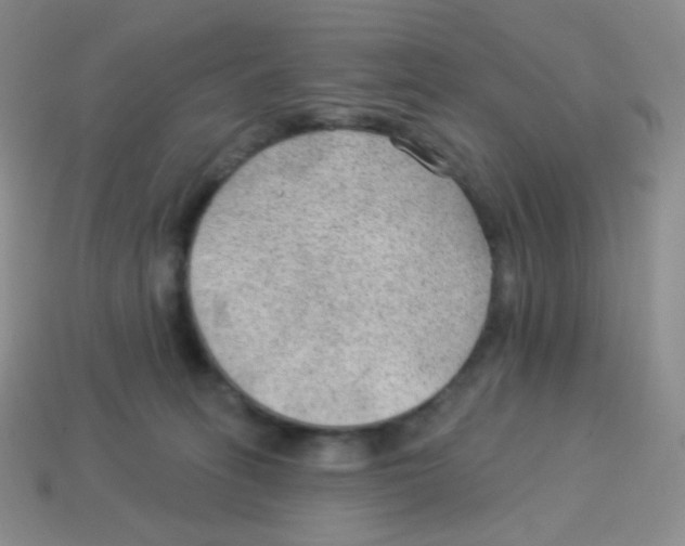 X0000113900275200910221444