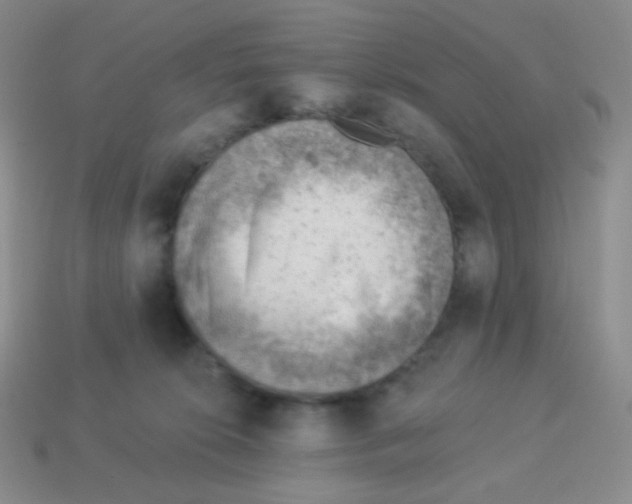 X0000113900276200910221444