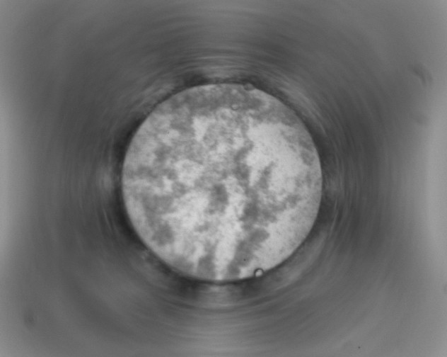 X0000113900277200910221444