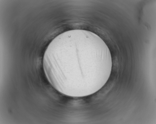 X0000113900278200910221444