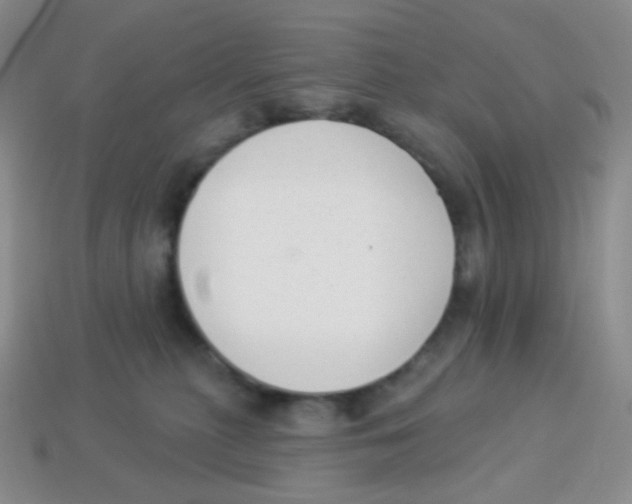 X0000113900279200910221444