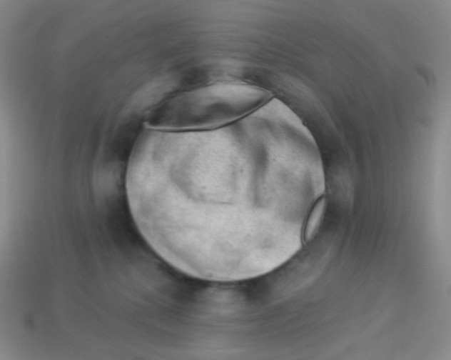 X0000113900280200910221444