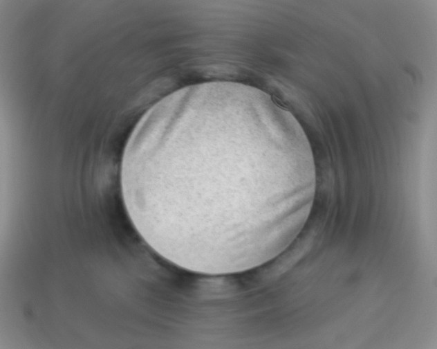 X0000113900281200910221444