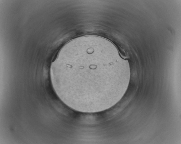 X0000113900282200910221444