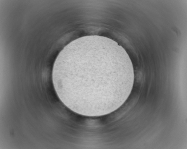 X0000113900283200910221444
