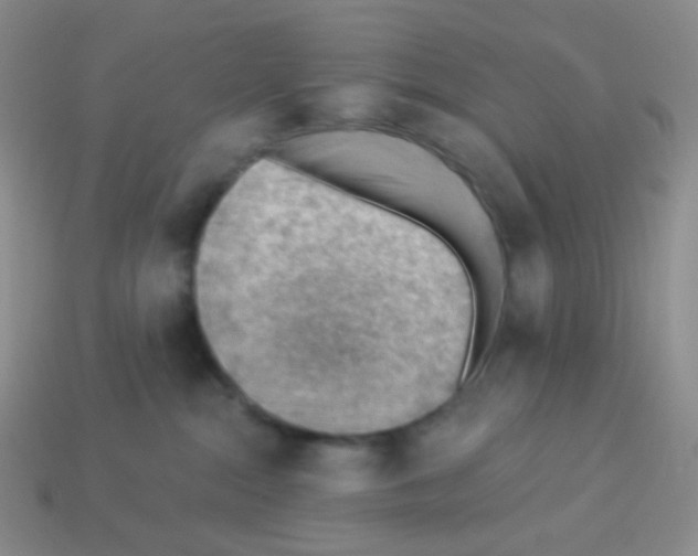 X0000113900284200910221444