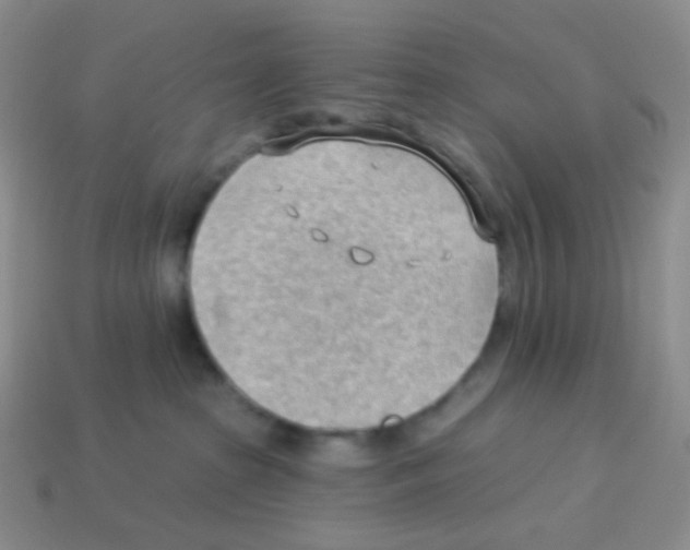 X0000113900285200910221444