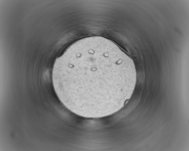 X0000113900286200910221444