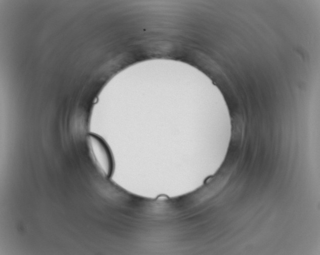 X0000113900287200910221444