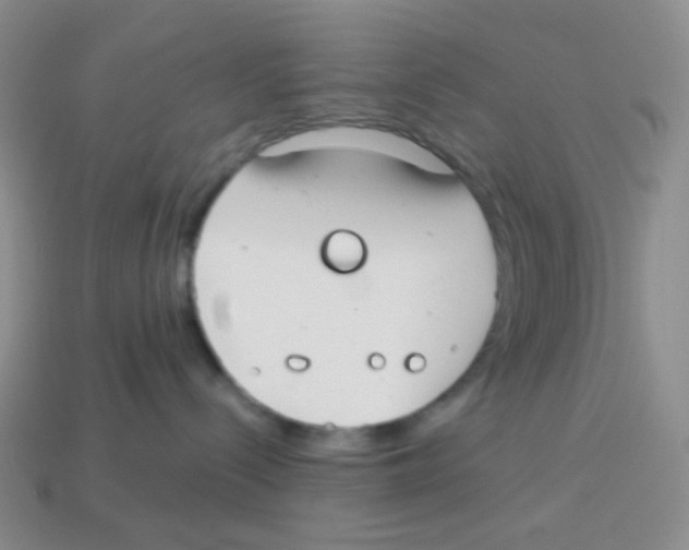 X0000113900288200910221445