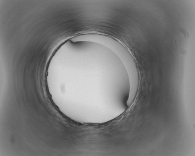 X0000113900289200910221444